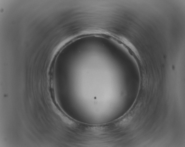 X0000068771380200605011016