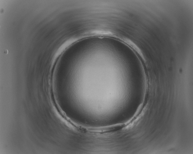 X0000068771381200605011016