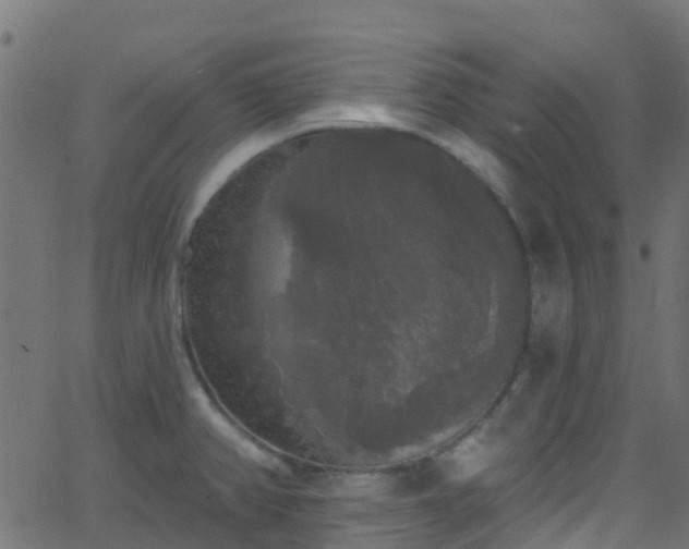 X0000068771382200605011016