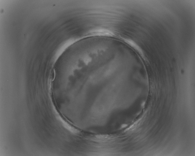 X0000068771383200605011016