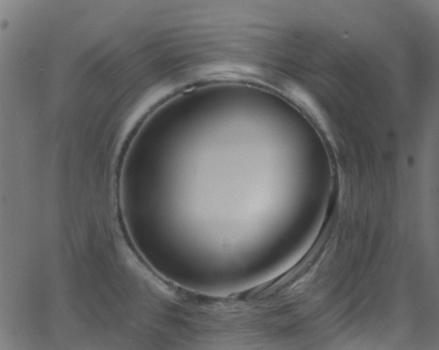 X0000068771384200605011016