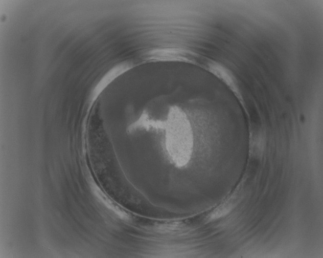 X0000068771386200605011016