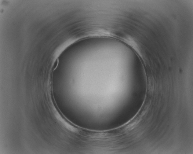 X0000068771387200605011016