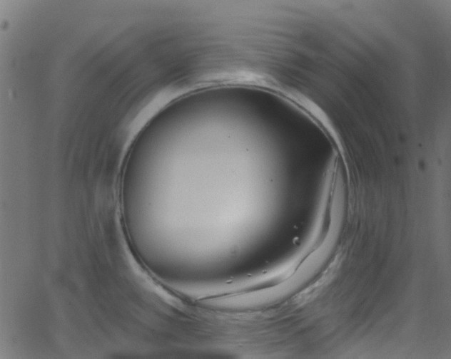 X0000068771389200605011016