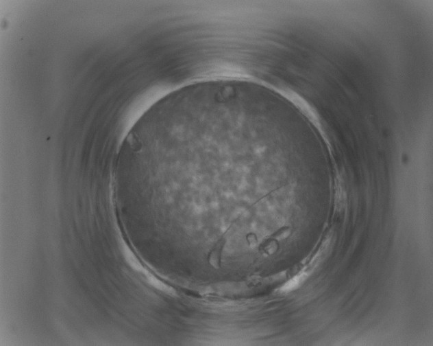 X0000068771390200605011016