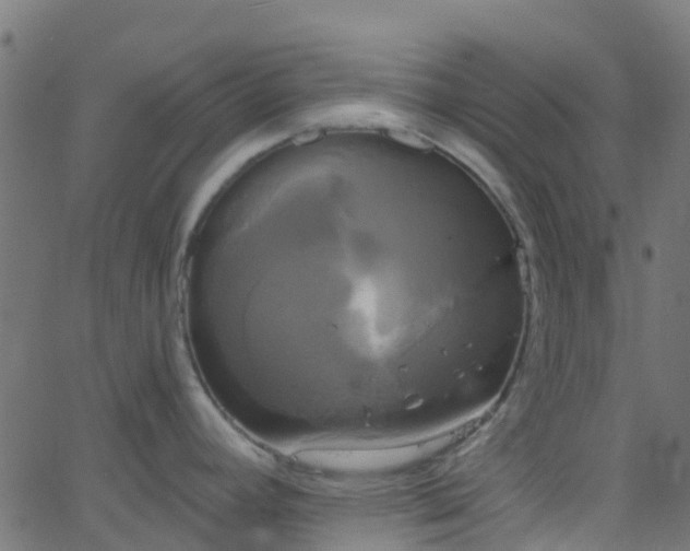 X0000068771392200605011016