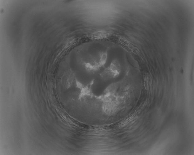 X0000068771393200605011015