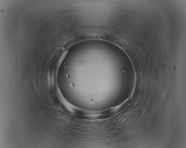 X0000068771394200605011015