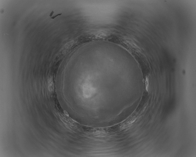 X0000068771395200605011015