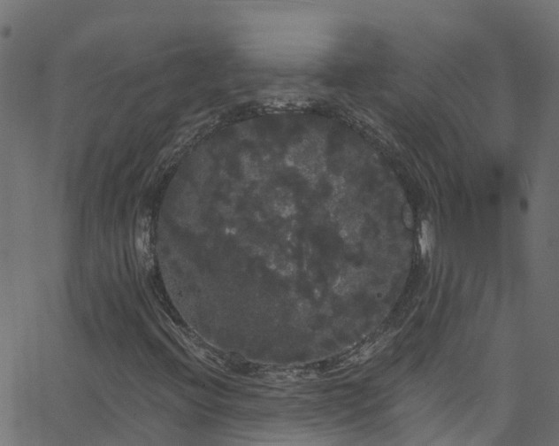 X0000068771396200605011015