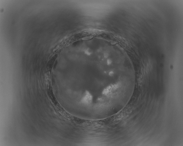 X0000068771397200605011015