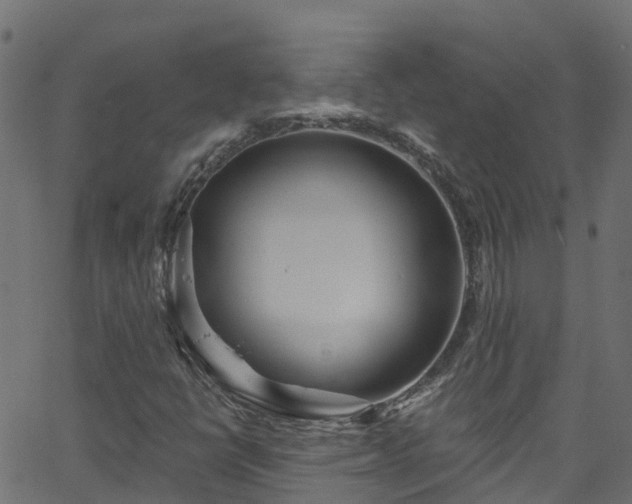 X0000068771398200605011015