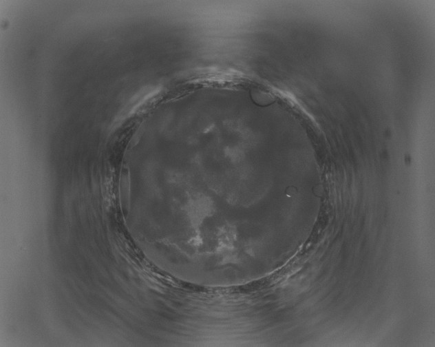 X0000068771399200605011015