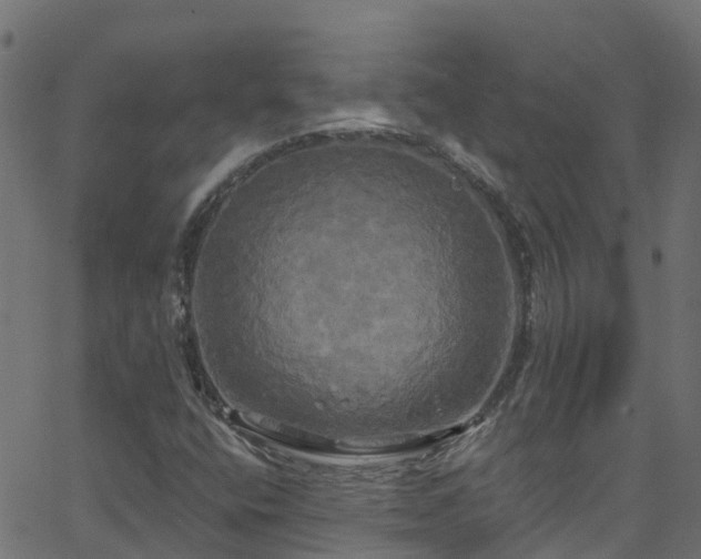 X0000068771400200605011015