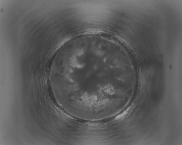 X0000068771401200605011015