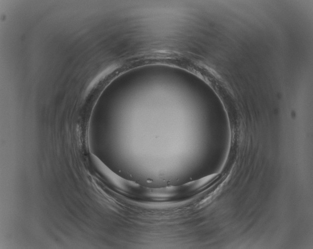 X0000068771402200605011015