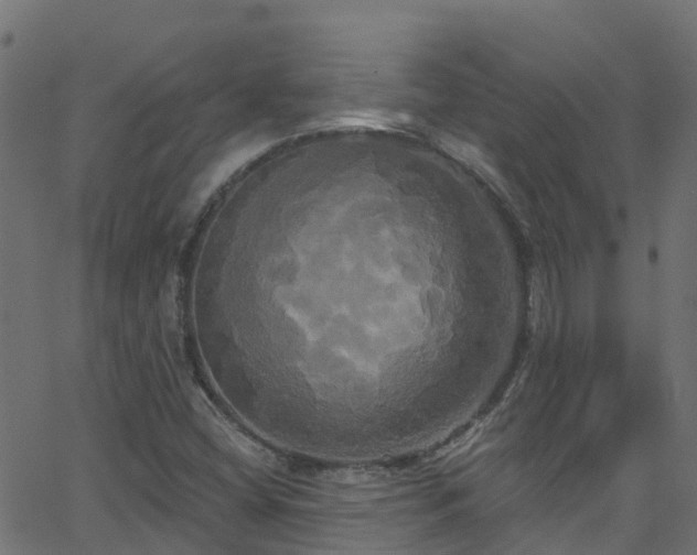 X0000068771404200605011015