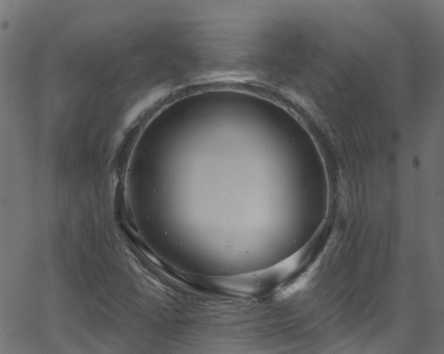 X0000068771406200605011015