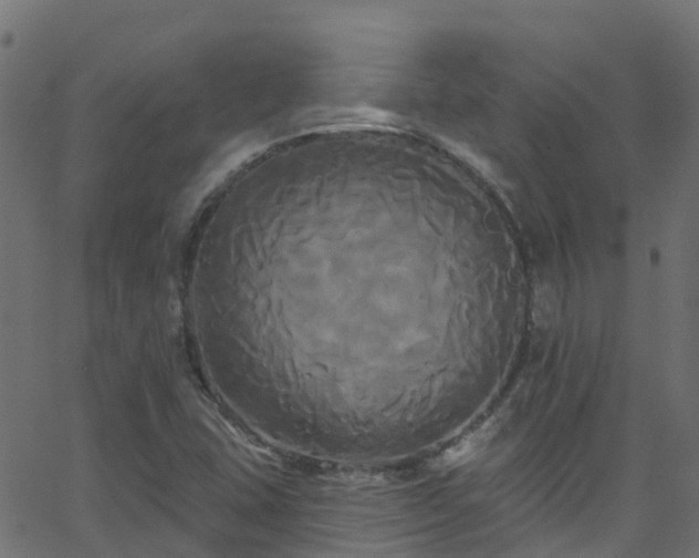 X0000068771407200605011015