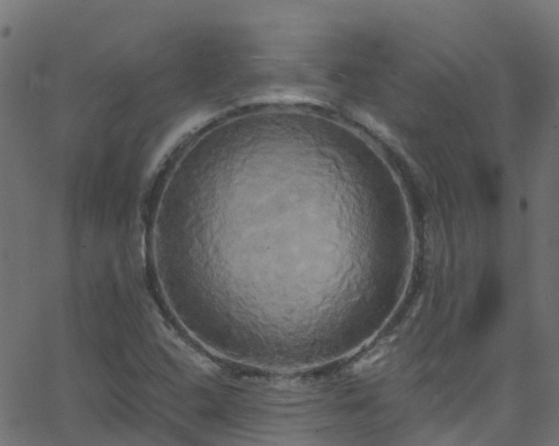 X0000068771408200605011015