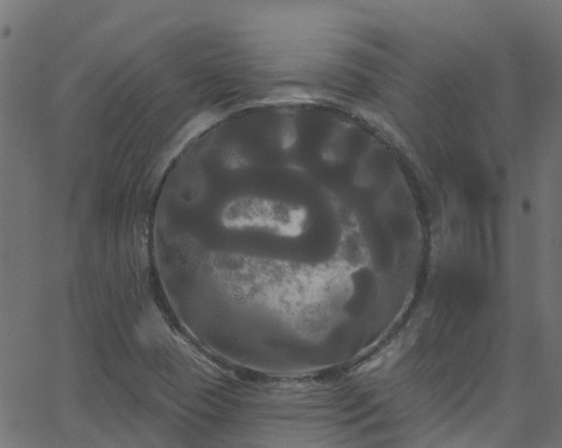 X0000068771409200605011015