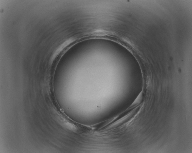 X0000068771410200605011015