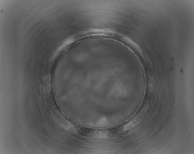 X0000068771411200605011015