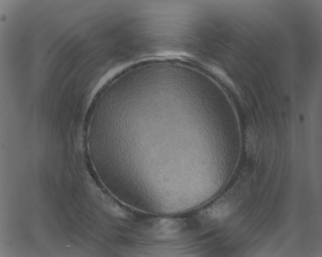 X0000068771412200605011015