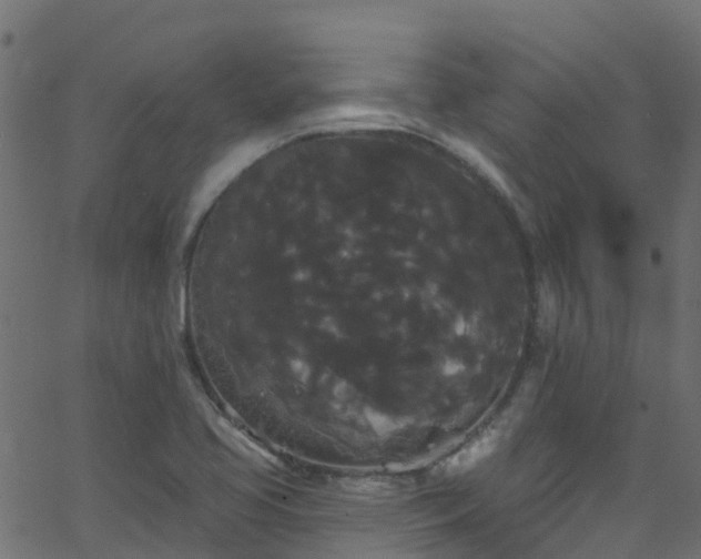 X0000068771413200605011015