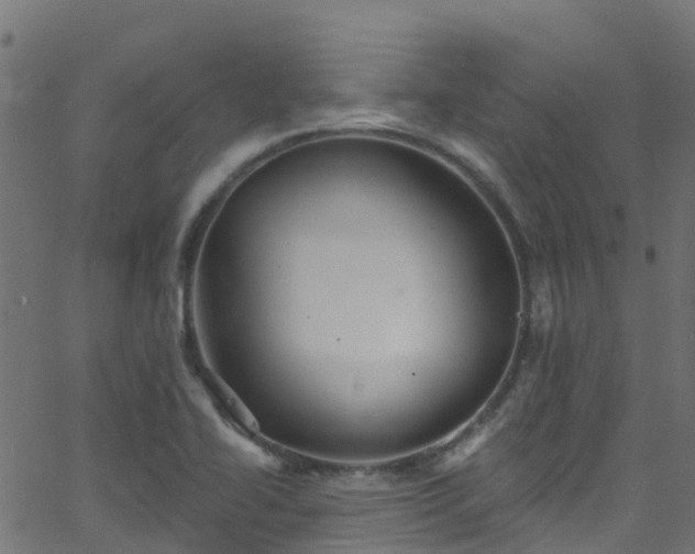 X0000068771414200605011015