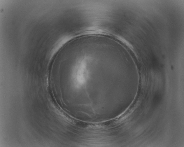 X0000068771415200605011015