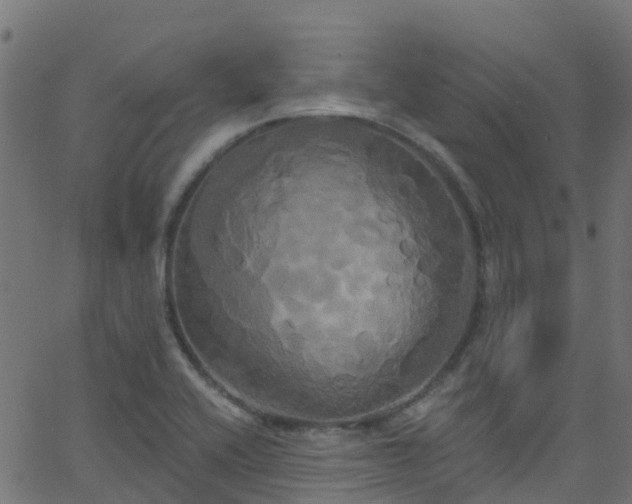 X0000068771416200605011015