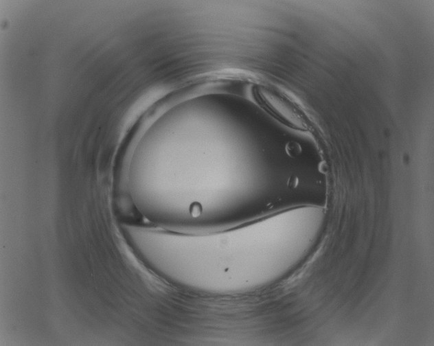 X0000068771418200605011015