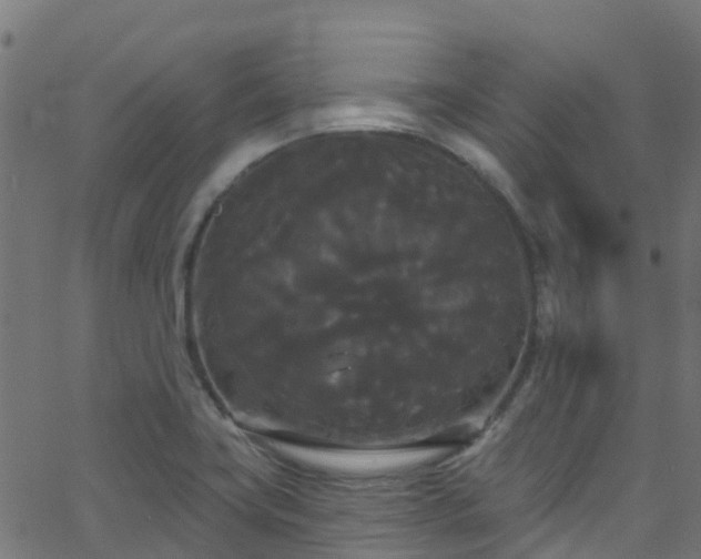 X0000068771419200605011015