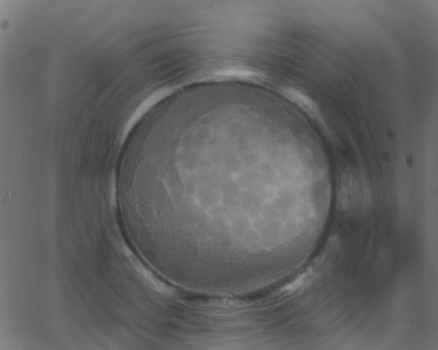 X0000068771420200605011015