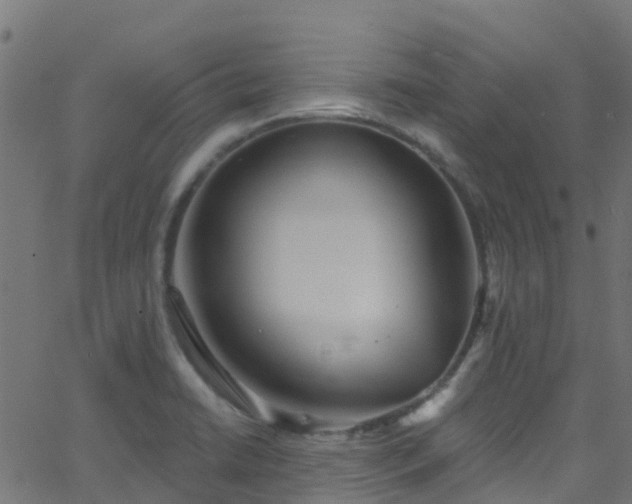 X0000068771422200605011015