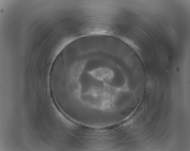 X0000068771423200605011015