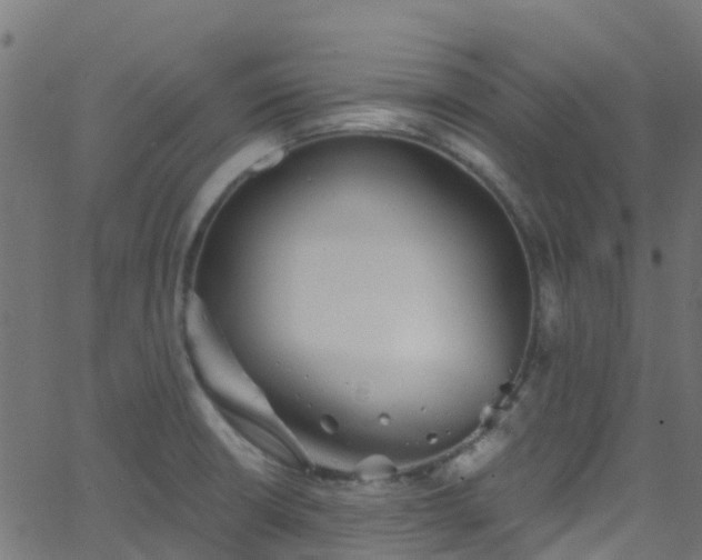 X0000068771426200605011015