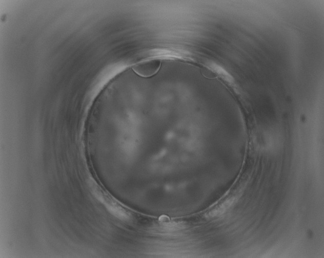 X0000068771427200605011015