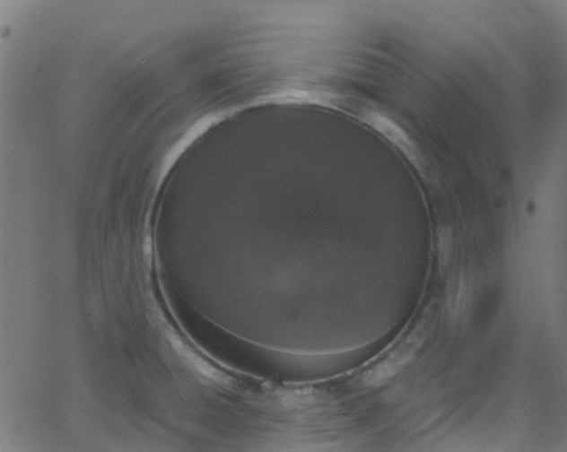 X0000068771428200605011015