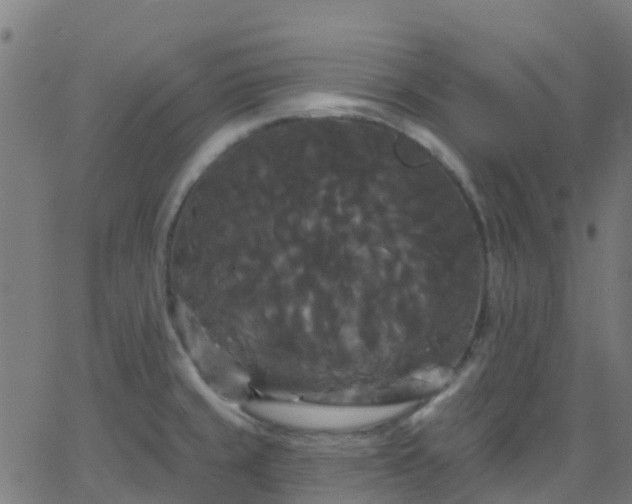 X0000068771429200605011015