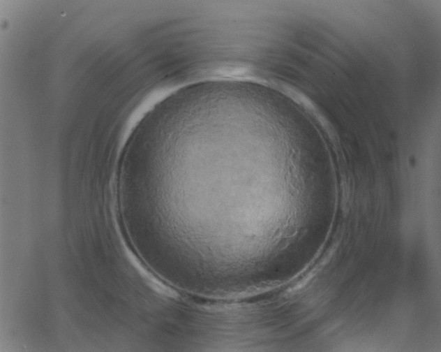 X0000068771432200605011015