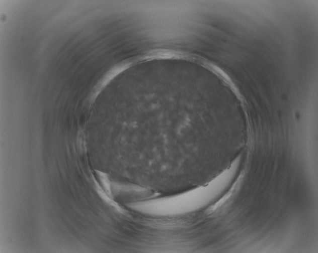 X0000068771433200605011016