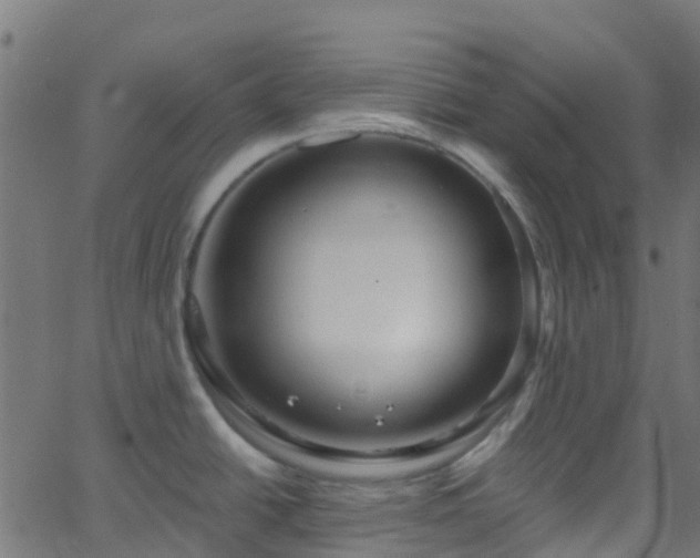 X0000068771438200605011016