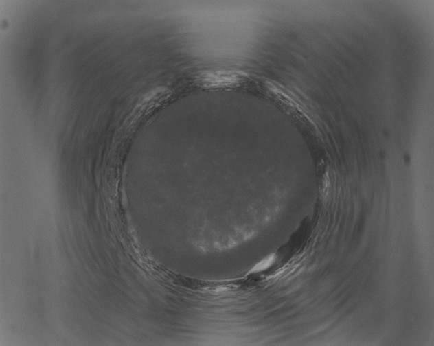 X0000068771441200605011015