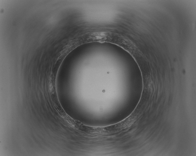 X0000068771442200605011015