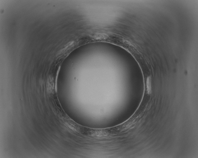 X0000068771443200605011015