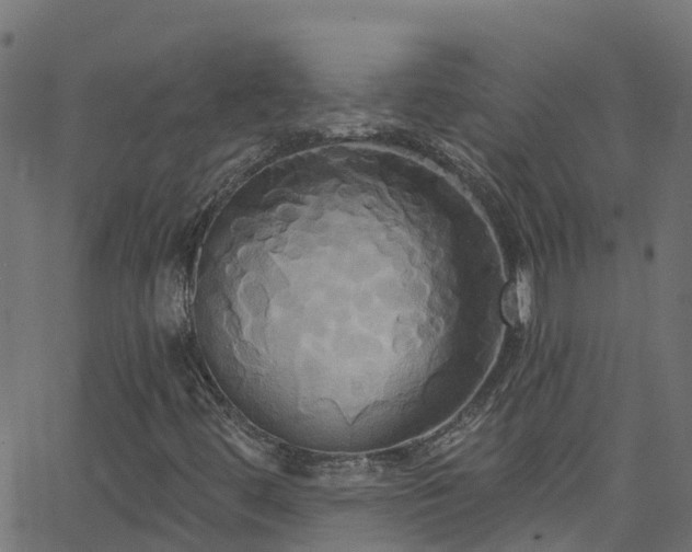 X0000068771444200605011015