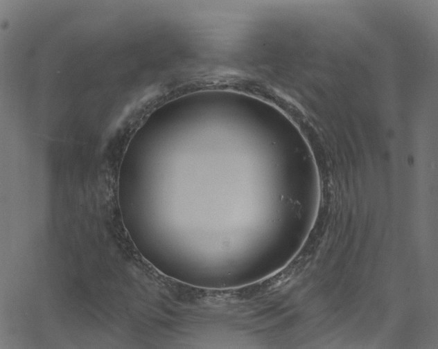 X0000068771447200605011015