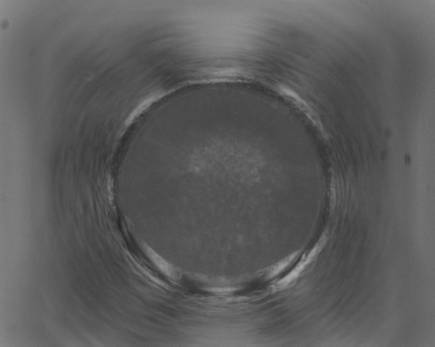 X0000068771449200605011015